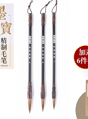 尚韵斋毛笔套装兼毫专业级学生书法国画专用狼毫大中小楷练字入门