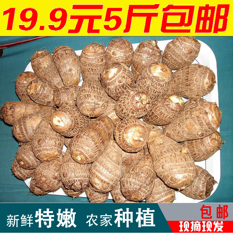 正宗莱阳原产地大芋头鸡蛋大5斤