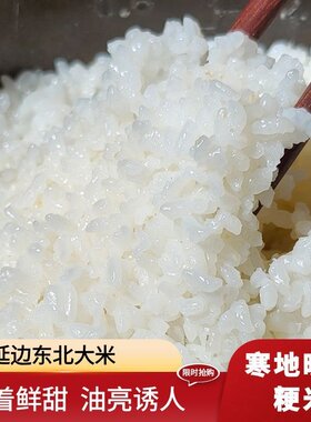 延边东北大米圆粒米2025年新米饭优质5KG10斤珍珠米熬粥晚稻粳米