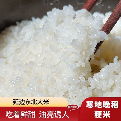 延边东北大米圆粒米2025年新米饭优质5KG10斤珍珠米熬粥晚稻粳米