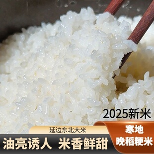 东北延边大米圆粒米2025年新米饭优质5KG10斤珍珠米熬粥晚稻粳米