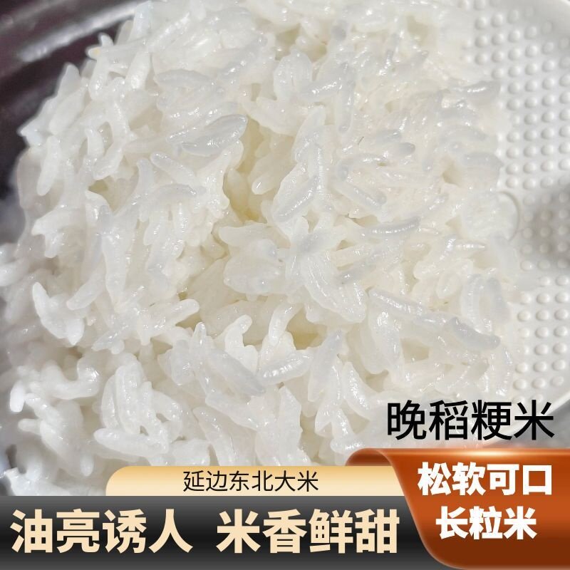 2025年新米延边东北大米长粒香胚芽米饭优质5KG10斤熬粥晚稻粳米