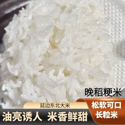 2025年新米延边东北大米长粒香胚芽米饭优质5KG10斤熬粥晚稻粳米