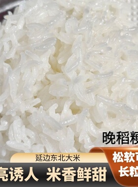 2025年新米延边东北大米长粒香胚芽米饭优质5KG10斤熬粥晚稻粳米