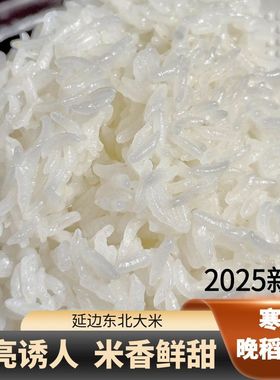2025年新米延边东北大米长粒香胚芽米饭优质5KG10斤熬粥晚稻粳米