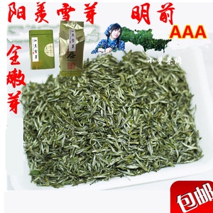 2023春季阳羡宜兴雪芽明前宜兴茗茶新茶炒青绿茶250g包邮散装