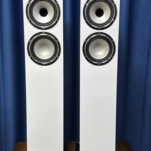TANNOY英国天朗双6寸同轴喇叭落地音箱XT6F