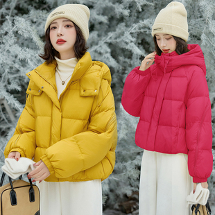 春款女装2026新款今年流行爆款上衣女时尚洋气时髦轻奢高级感外套