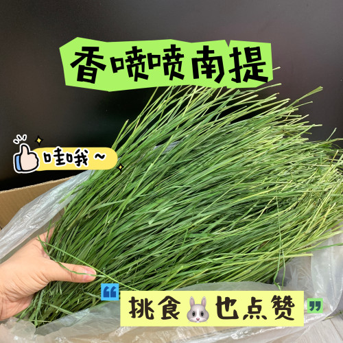 26年烘干南提嫩草挑食兔最爱适口性佳兔子龙猫荷兰猪750g包邮