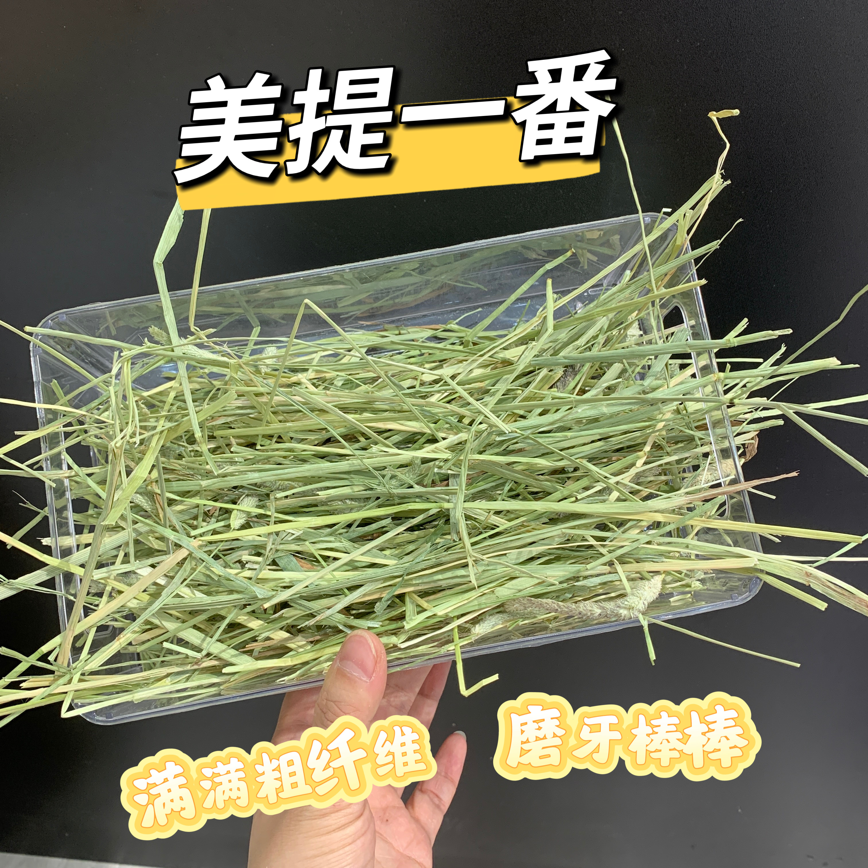 美国提摩西牧草美提一番适口性好粗纤维磨牙促进肠道兔子主草推荐