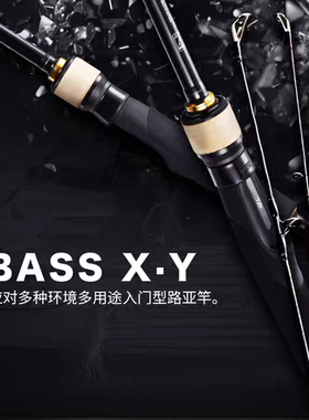 DAIWA达亿瓦BASS X Y 路亚竿钓鱼竿碳素泛用微物路亚远投枪柄钓竿