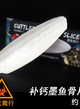 补钙守宫猫狗磨牙仓鼠营养乌龟