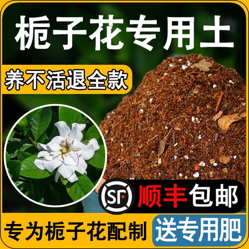 栀子花专用土疏松透气保水无虫