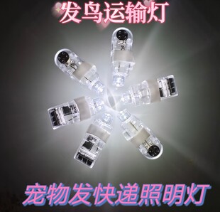 迷你发货照明鸟笼小夜灯玩具长时间邮鸟灯运鸟灯小型发鸟灯运输灯
