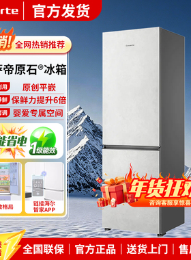 Casarte/卡萨帝 BCD-386WLCMDM4W1U1/BCD-400WLCI3M4GDU1清水岩