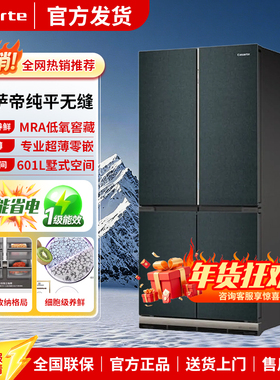 卡萨帝601博卡灰超薄零平嵌入式冰箱601/WGCTDM4/DNU1/SAU1/DLU1