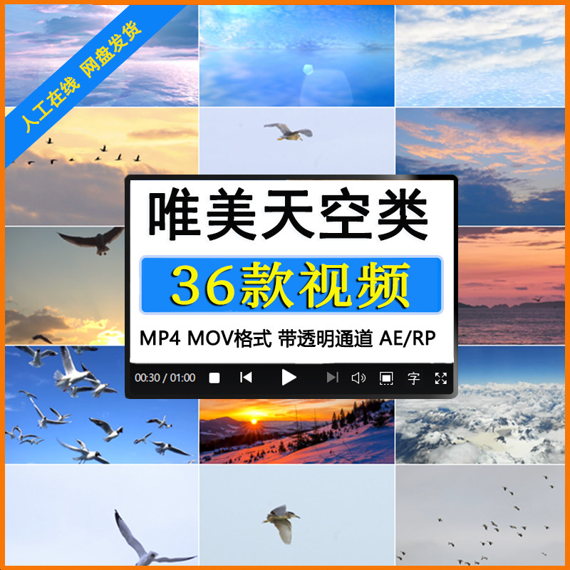 剪辑素材唯美天空视频mp4蓝天白云海边海鸥飞鸟航拍落日空镜头mov