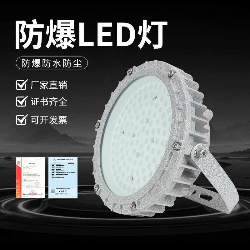 隔爆LED灯免维护防爆双腔体IIC T6防爆平台泛光荧光50W100W防爆灯