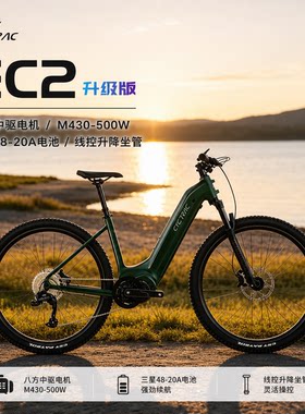骓特赛途EC2电助力自行车油刹