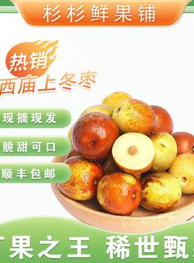 中秋送礼5斤精选现摘山西运城庙上脆甜冬枣新鲜大枣孕妇水果礼盒