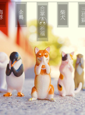 ins风水獭合掌祈福decole三花猫