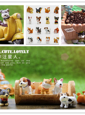 多肉绿植微景观配饰世界柯基名犬