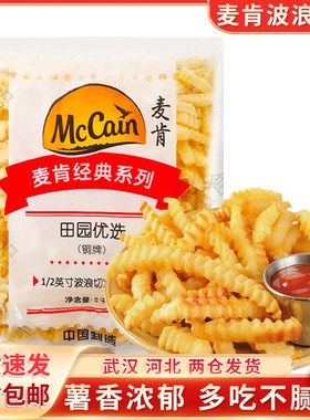 麦肯波浪薯条空气炸锅食材