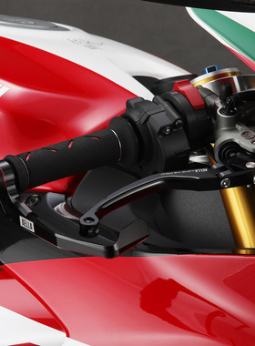 AELLA DUCATI 杜卡迪 Panigale V4 刹车护杆护弓护手平衡端子堵头