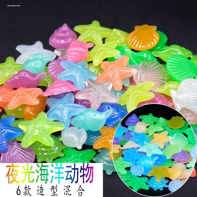 因为专注，所以专业！