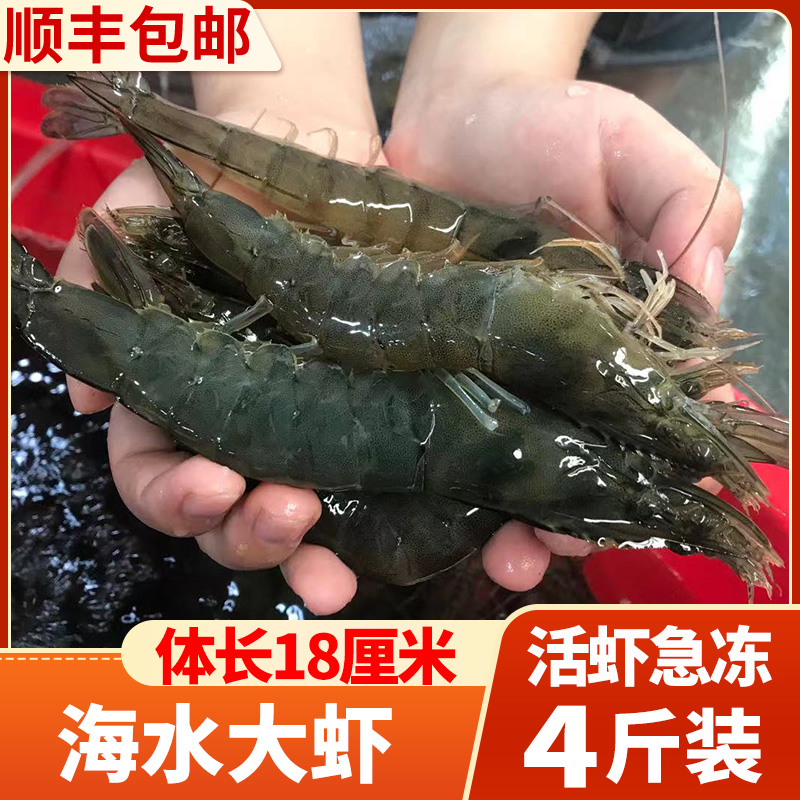 4斤海水大个头大虾鲜活速冻