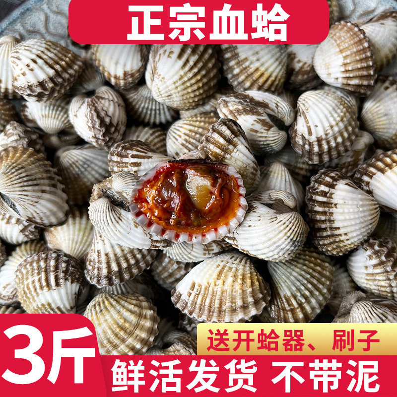 血蛤鲜活新鲜雪蛤血蚶血蛤蜊可生腌现挖现发海鲜鲜活贝类3斤包邮