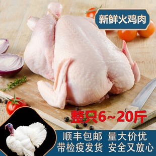 包邮 整只火鸡肉圣诞节感恩节国产进口火鸡冰鲜冷鲜整只6 25斤顺丰
