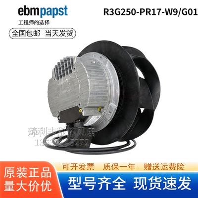 R3G250-PR17-W9/G01原装散热风扇
