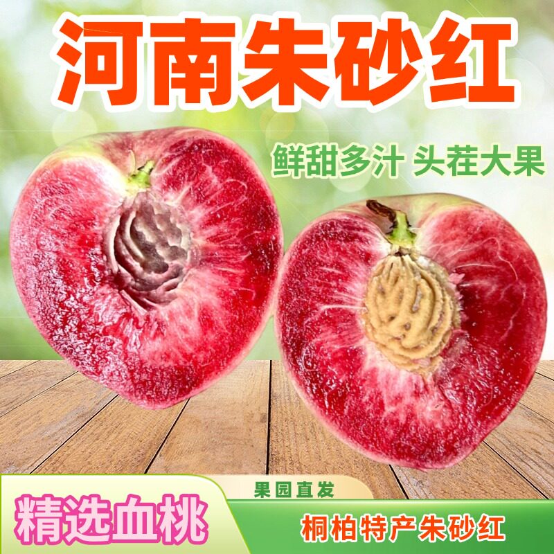 正宗朱砂红桃河南红心桃子新鲜水果桐柏血桃血麒麟离核桃子脆甜桃