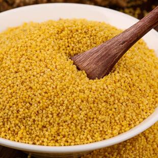 东北特产辽宁朝阳建平新小米红谷子黄小米农家自种月子米5斤包邮