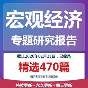 2025年宏观经济中国经济专题研究分析报告合集