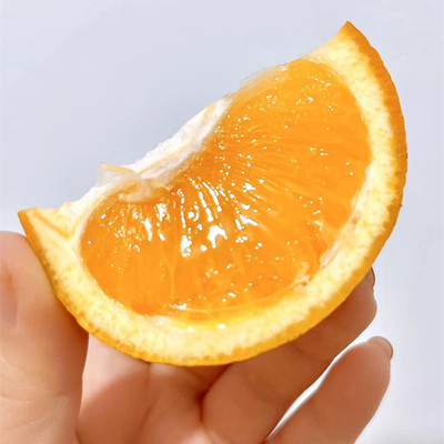 精选正宗常山胡柚新鲜水果