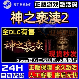 神之亵渎2 正版Steam激活码CDKey入库Blasphemous 2全DLC动作游戏