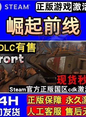 崛起前线 正版Steam激活码CDKey入库 Rising Front全DLC单机游戏