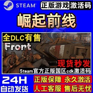 崛起前线 正版Steam激活码CDKey入库 Rising Front全DLC单机游戏