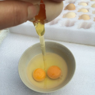 正宗土鸡蛋农家散养新鲜鸡蛋柴鸡蛋五谷杂粮喂养走地土鸡蛋30枚装