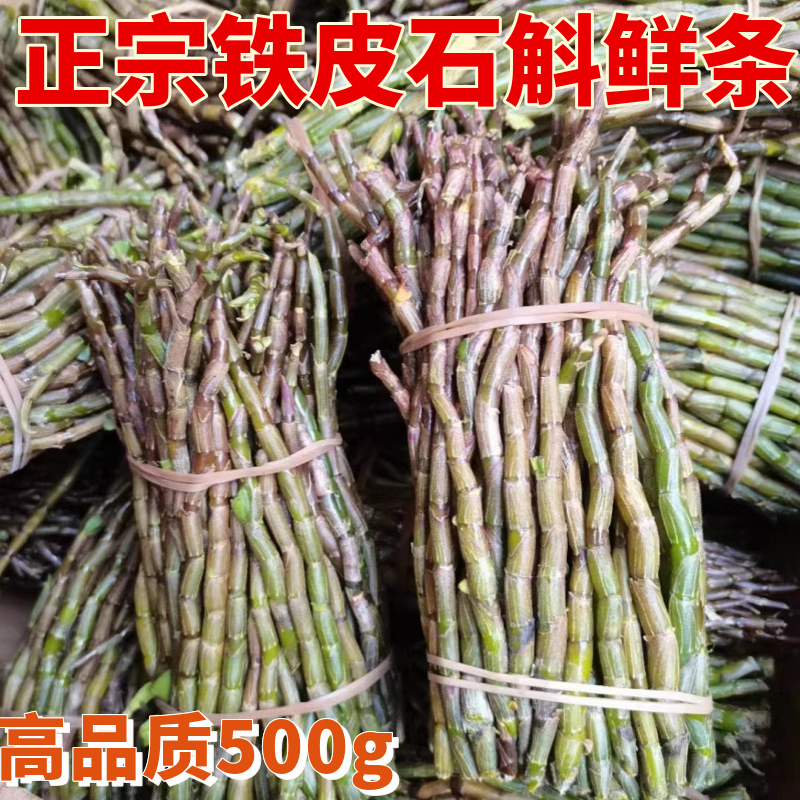 新鲜铁皮石斛鲜条500g特级石斛苗中药煲汤泡茶养胃去虚火调理养生