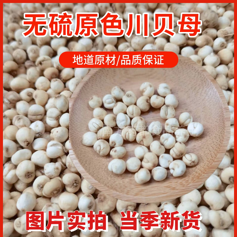 川贝母原色纯无硫正宗品中药材精选川贝干粉小粒炖雪梨100g非野生