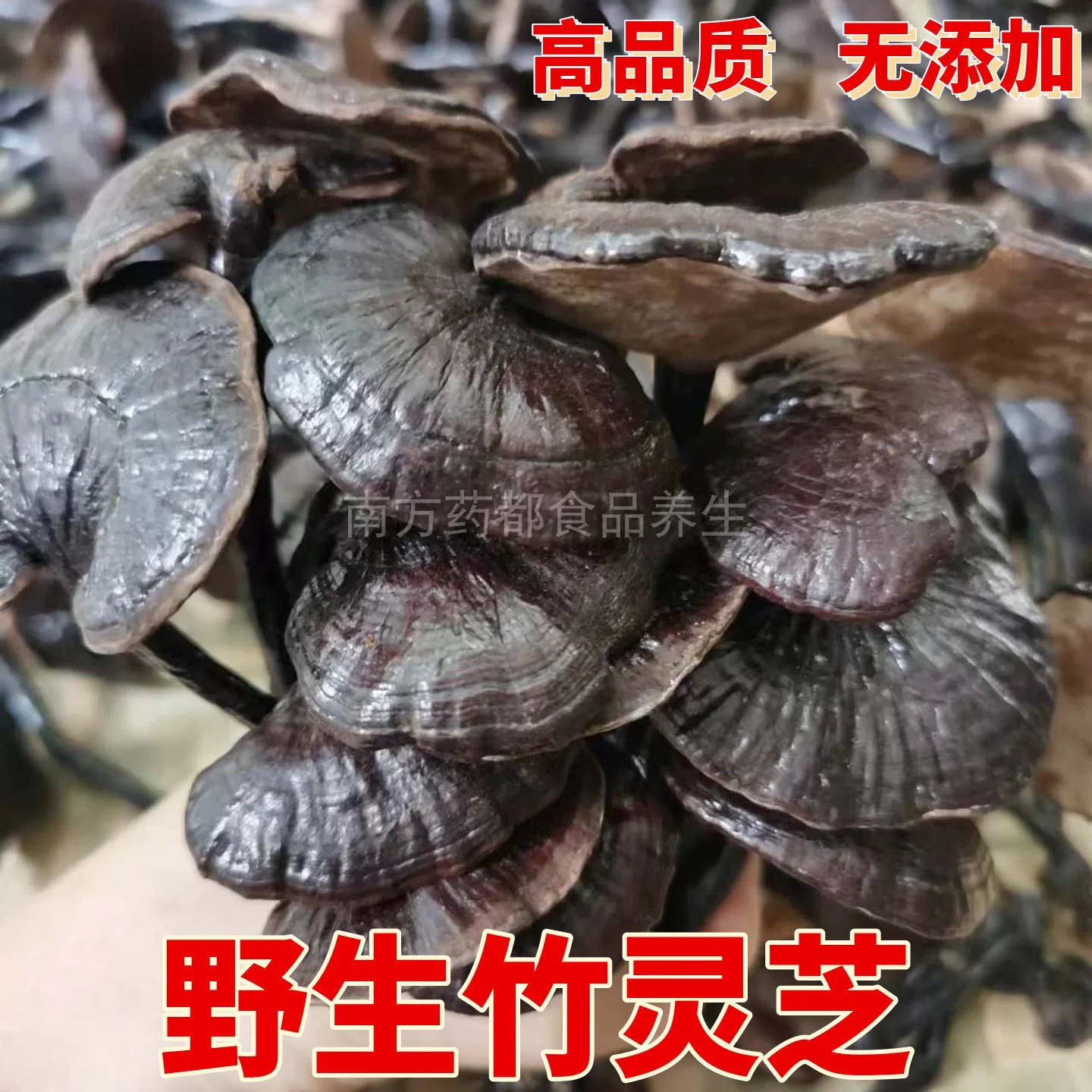 野生灵芝竹灵芝整朵干货煲汤煮茶