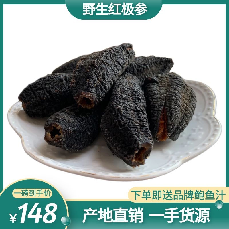 野生加拿大红极参冰岛进口海参
