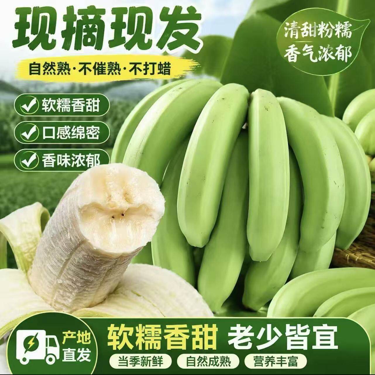 云南香蕉高山大香蕉现摘新鲜水果甜生青香蕉应季自然熟5斤绿9斤