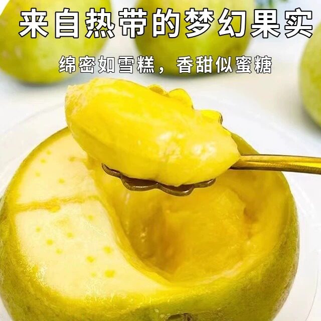 云南白柿冰淇淋果新鲜版纳奶香冰激凌果高端新奇水果雪糕果顺丰