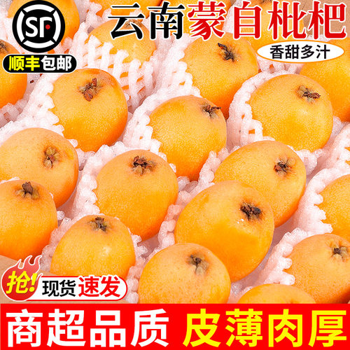 云南蒙自新鲜甜枇杷鲜果应季长虹琵琶现摘树上熟琵琶节日礼品顺丰