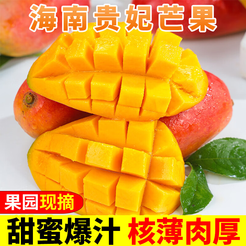海南贵妃芒果树上现摘熟大青皮辣椒芒应季时令新鲜清甜水果礼盒品