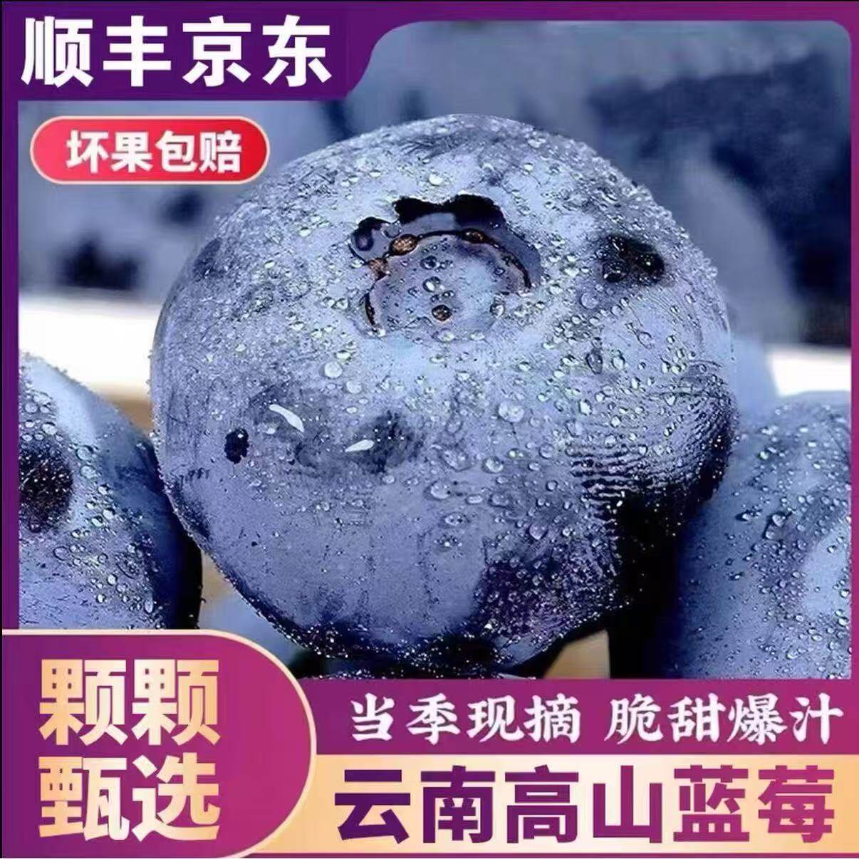 云南蓝莓鲜果现摘现发整箱特大礼盒当季高山花香新鲜水果孕妇蓝梅